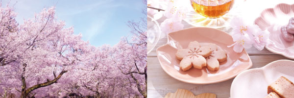 夏の画像